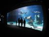 Acquario di Genova